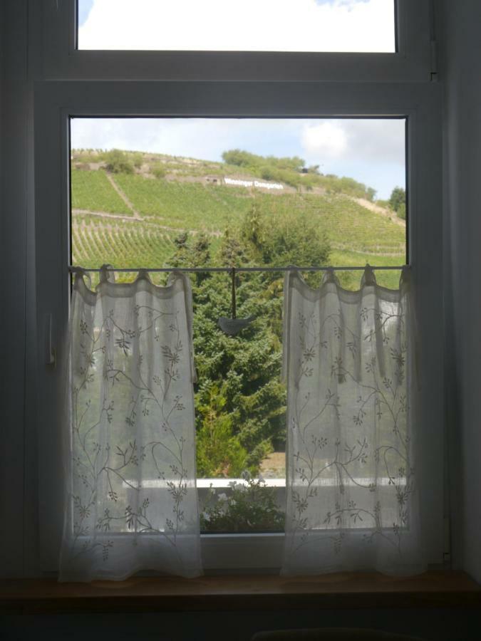 Altes Weingut Weinhaus Rebstock Apartment Вининген Екстериор снимка